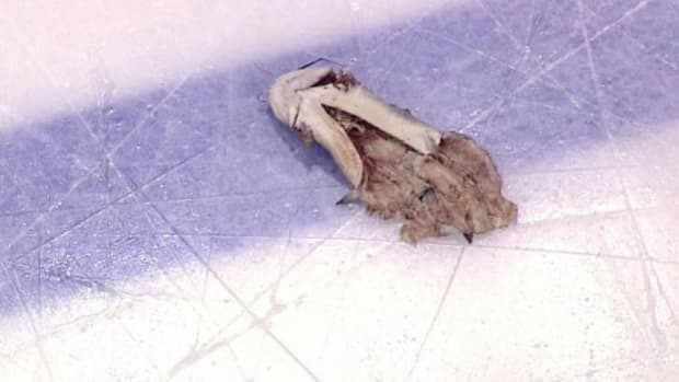 stanley-cup-penguins-predators-catfish-jacob-waddell.jpg